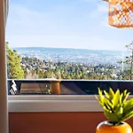 The View In