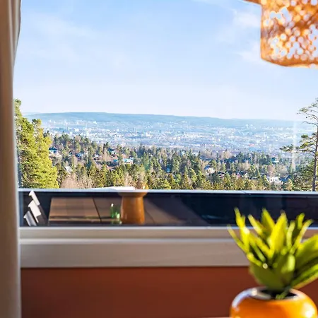 The View In