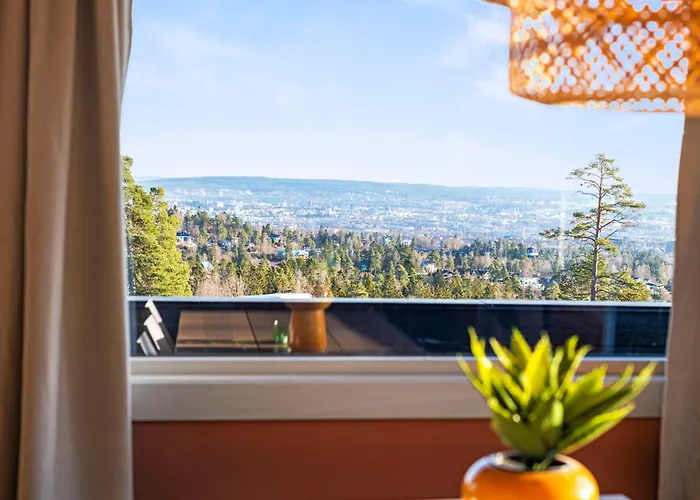 The View In